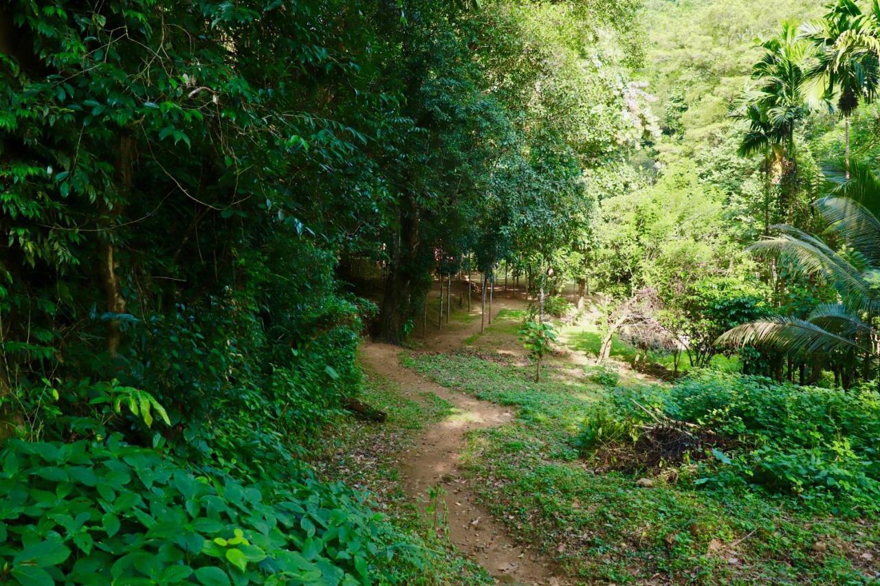 Paradise Eco Garden Kitulgala Exterior photo